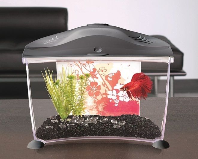 Hagen Marina Betta Siamese Fighting Fish Tank Aquarium Kit Set Filter