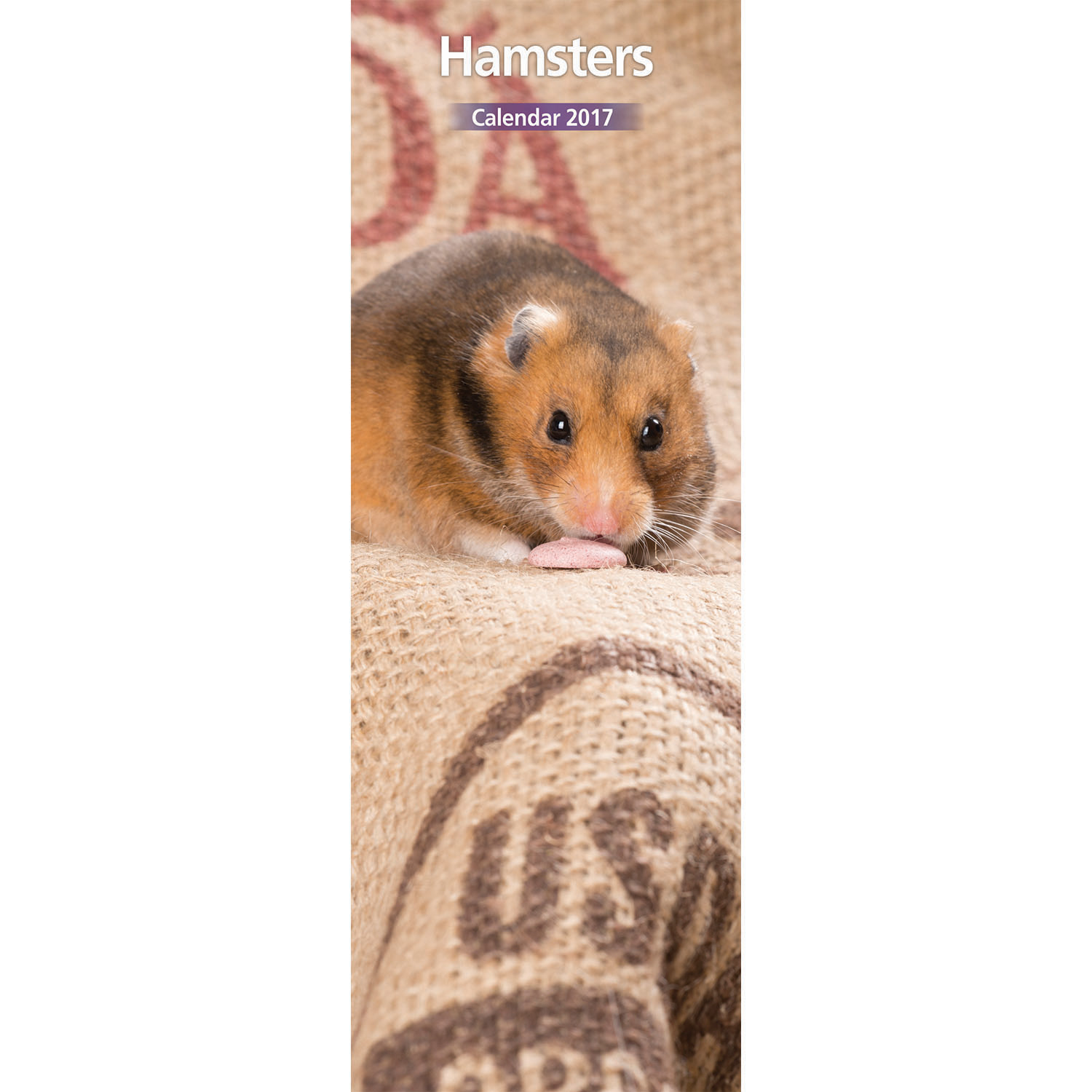 Hamster - 2017 Slim Calendar • £5.99 - PicClick UK