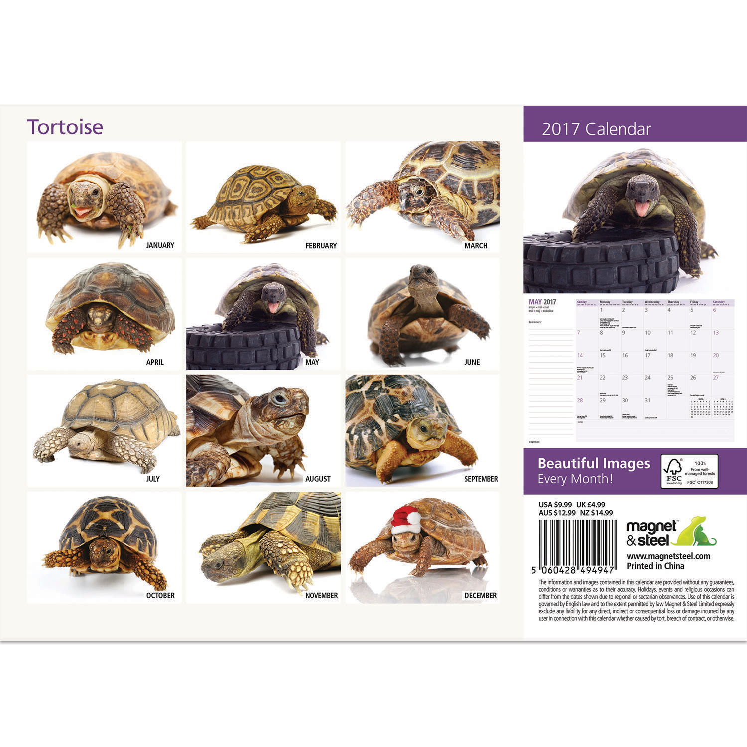 Tortoise 2017 A4 Calendar • £4.99 PicClick UK