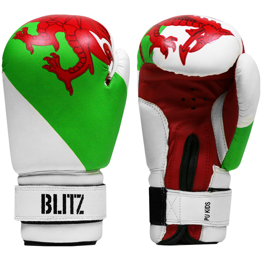 Blitz Kids Wales PU Boxing Gloves eBay