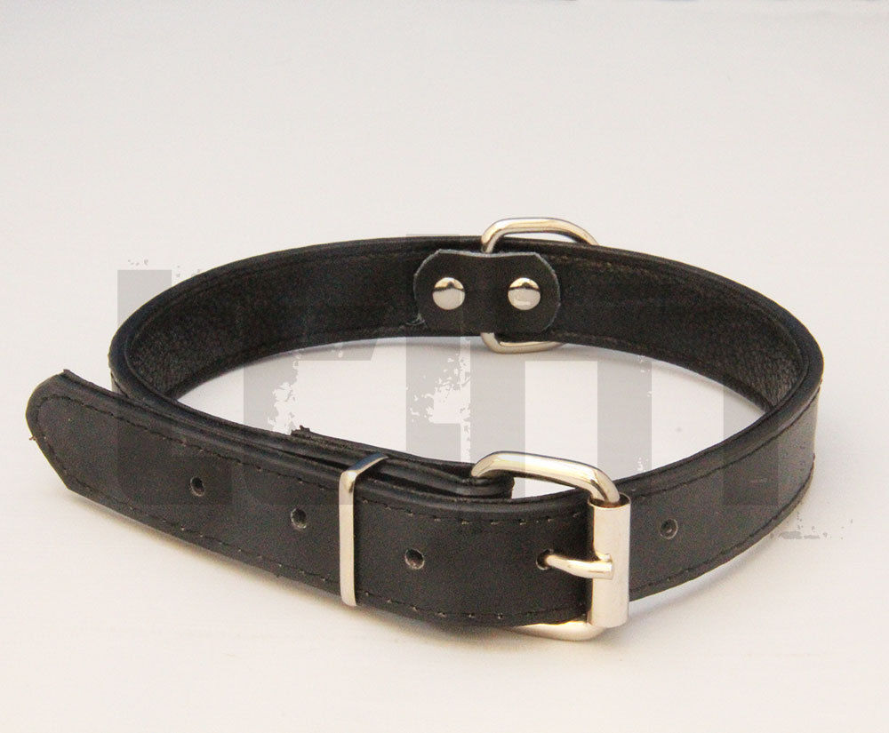Soft Padded Leather Dog Collar For Small Medium Large Puppies & Adult Dogs New | eBay