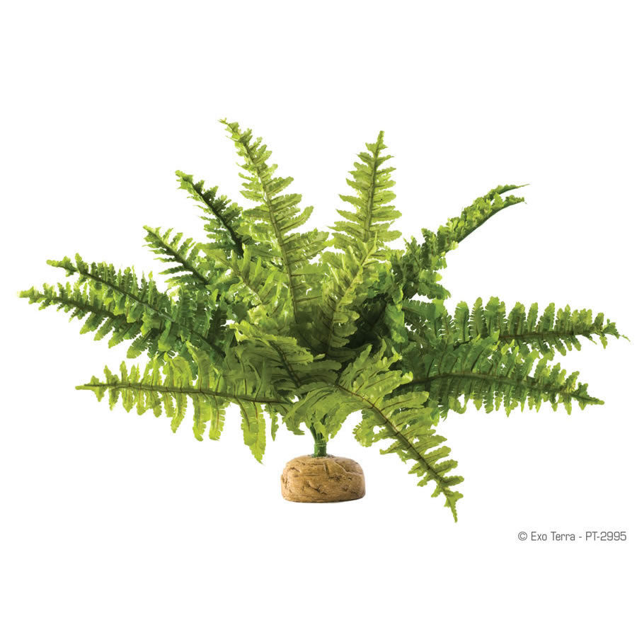 ExoTerra Plastic Jungle Reptile Plants eBay