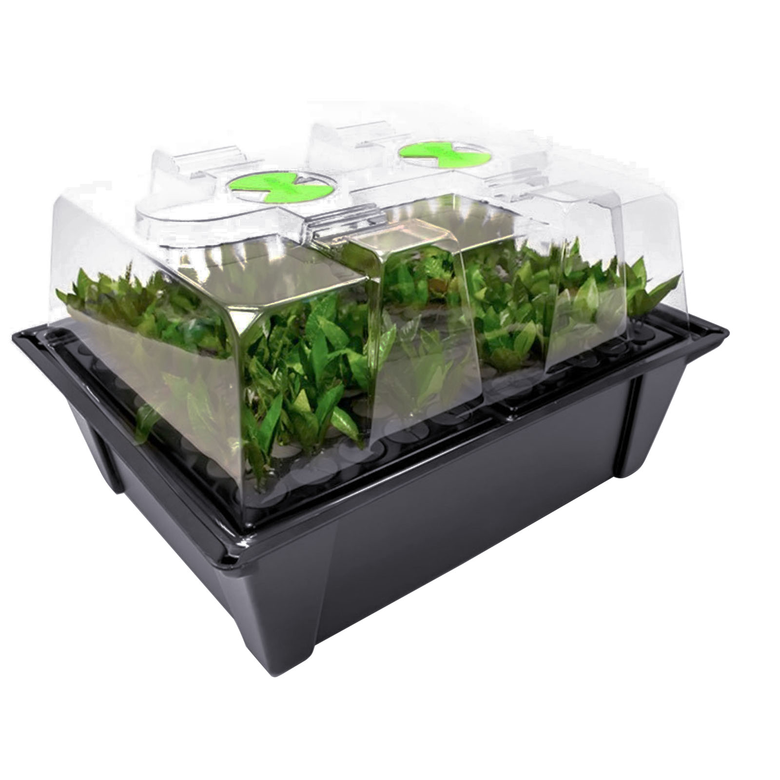 X-Stream Aeroponic Propagator V2 Unheated Propagation Misting Plants ...