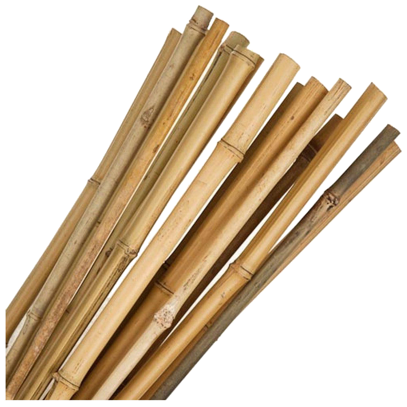 Bamboo Sticks Plants Heavy Duty Strong Slim Canes Gardening Supports   1jmoimnvtdk 