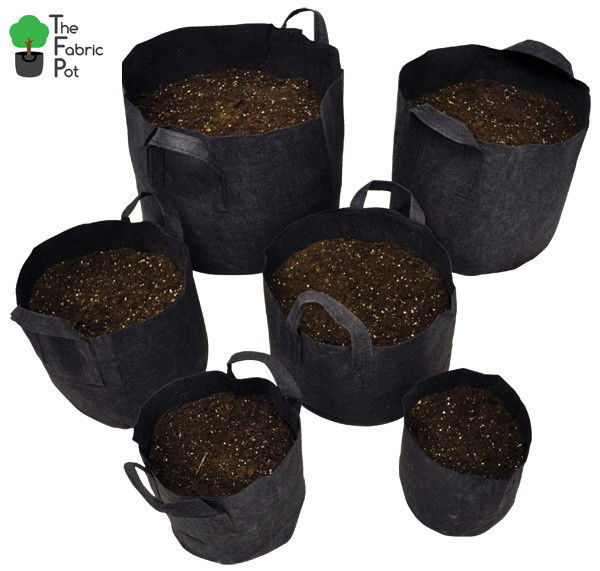 10 X Hydroponic Root Fabric Smart Pot Grow Bags Plant Container Pouch ...