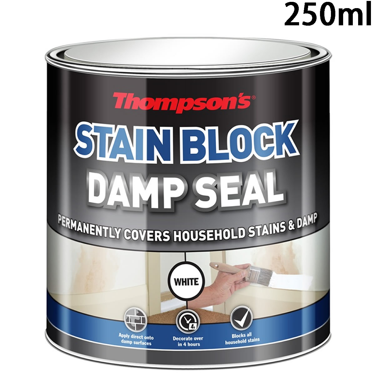 Thompsons White Stain Block Damp Seal Paint Protect Cover Prevents