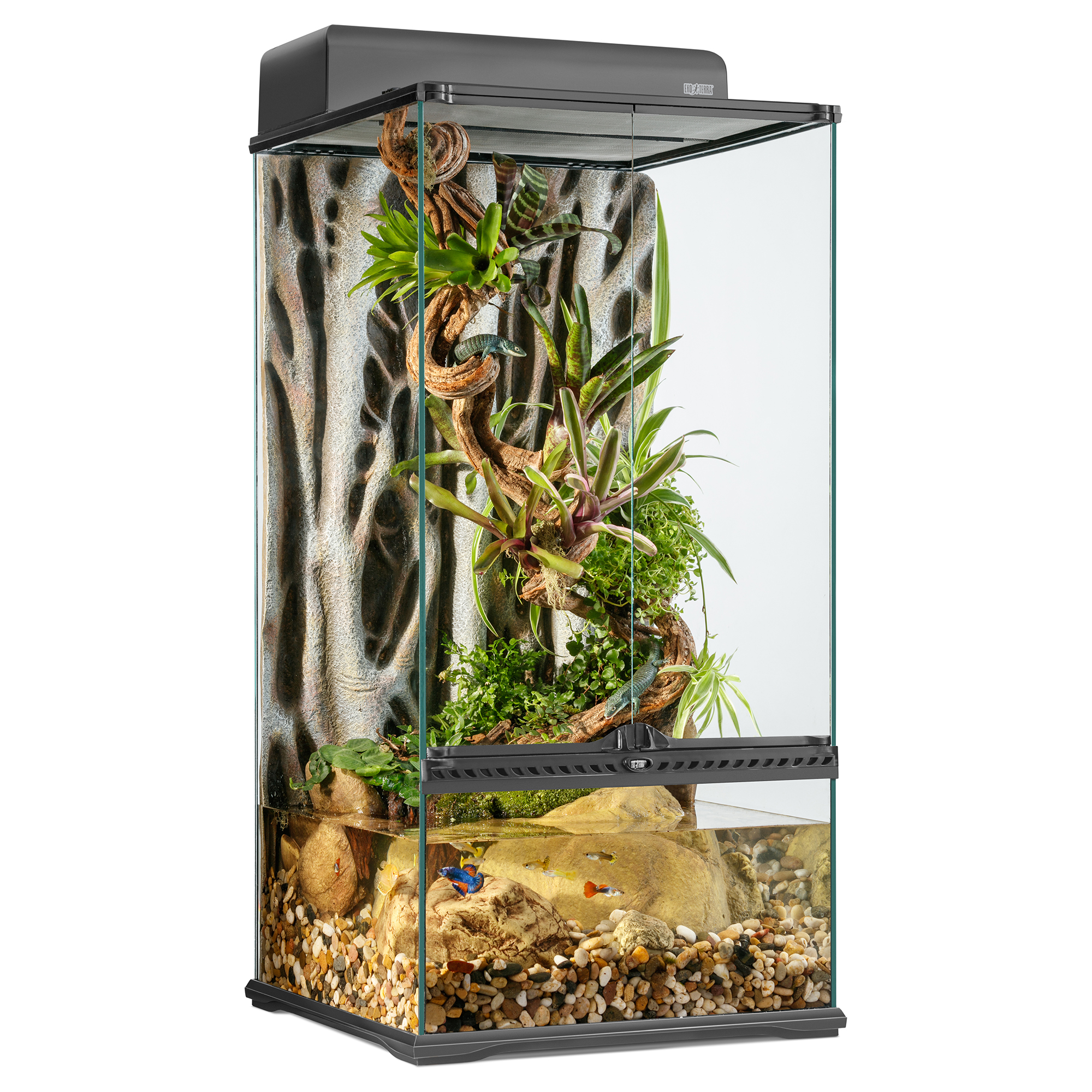 Exo Terra Glass Paludariums Terrarium/Aquarium Mix Natural Reptile