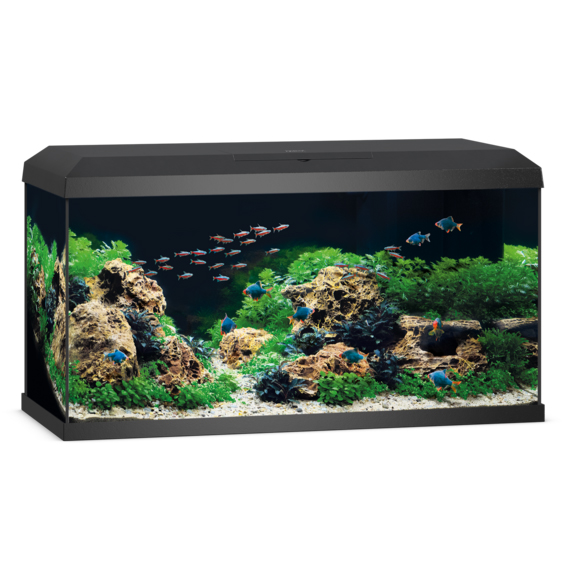 Juwel Primo Aquariums & Stand/Cabinets - LED Lighting, BioFlow, AquaHeat - Picture 17 of 21