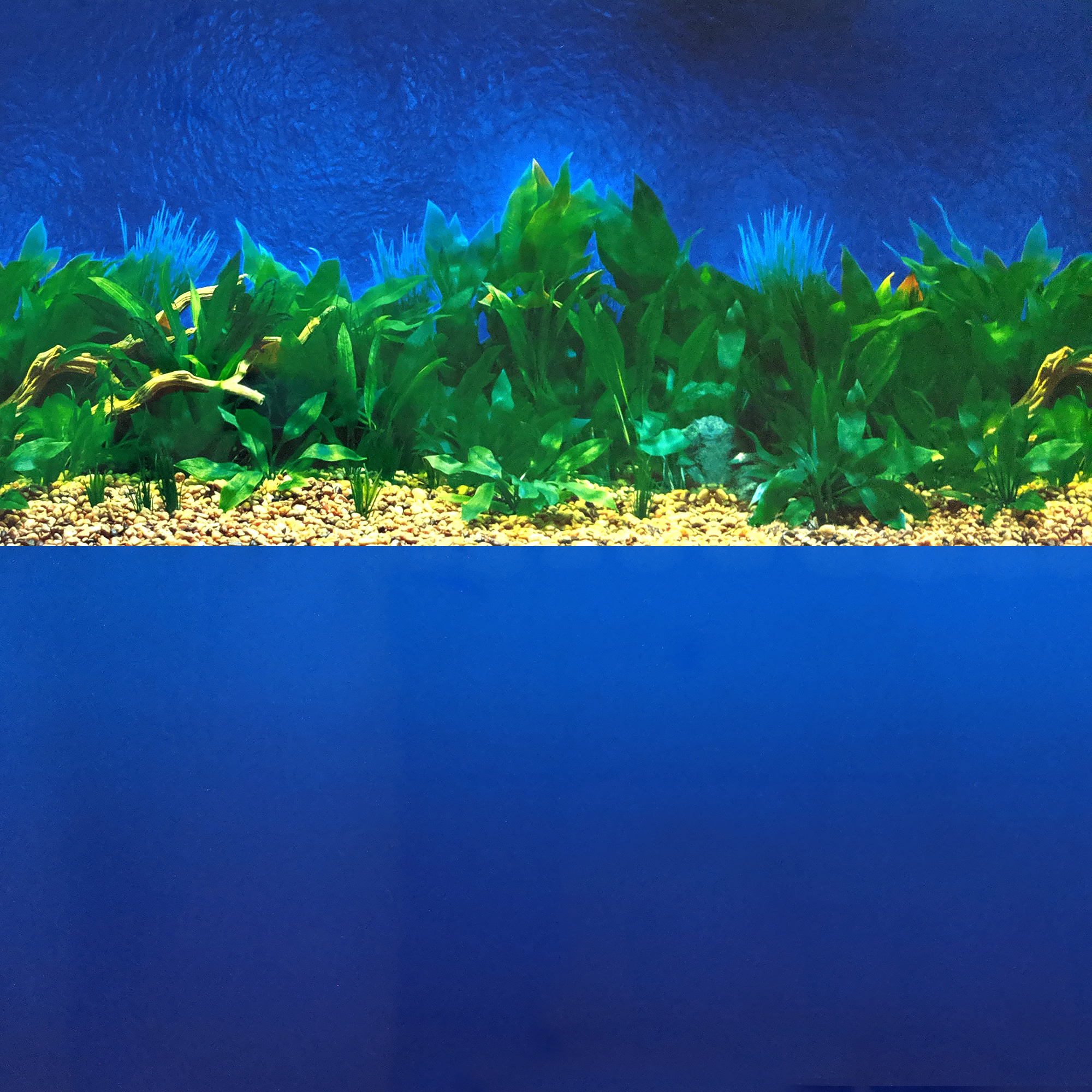 jersey aquarium channel islands