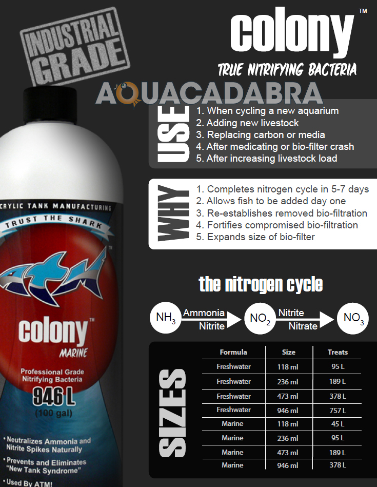 ATM Colony MARINE Nitrifying Cycle Bacteria Aquarium Fish Tank Trust