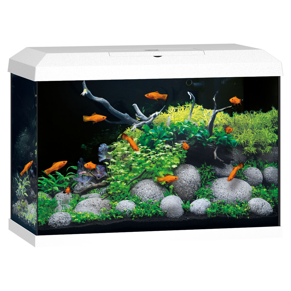 Juwel Primo Aquariums & Stand/Cabinets - LED Lighting, BioFlow, AquaHeat - Picture 10 of 21