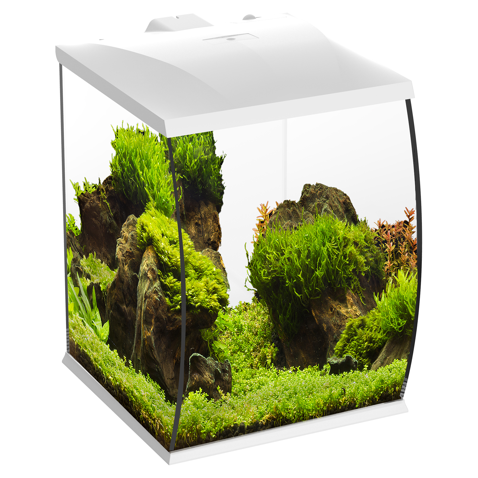 Betta 35L Aquarium Fish Tank White Black LED Light & Internal Filter |