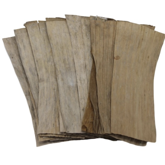 Catappa Mulberry Banane Teak Blätter für Aquarium Garnelen Aquarium Betta - Bild 5 von 5