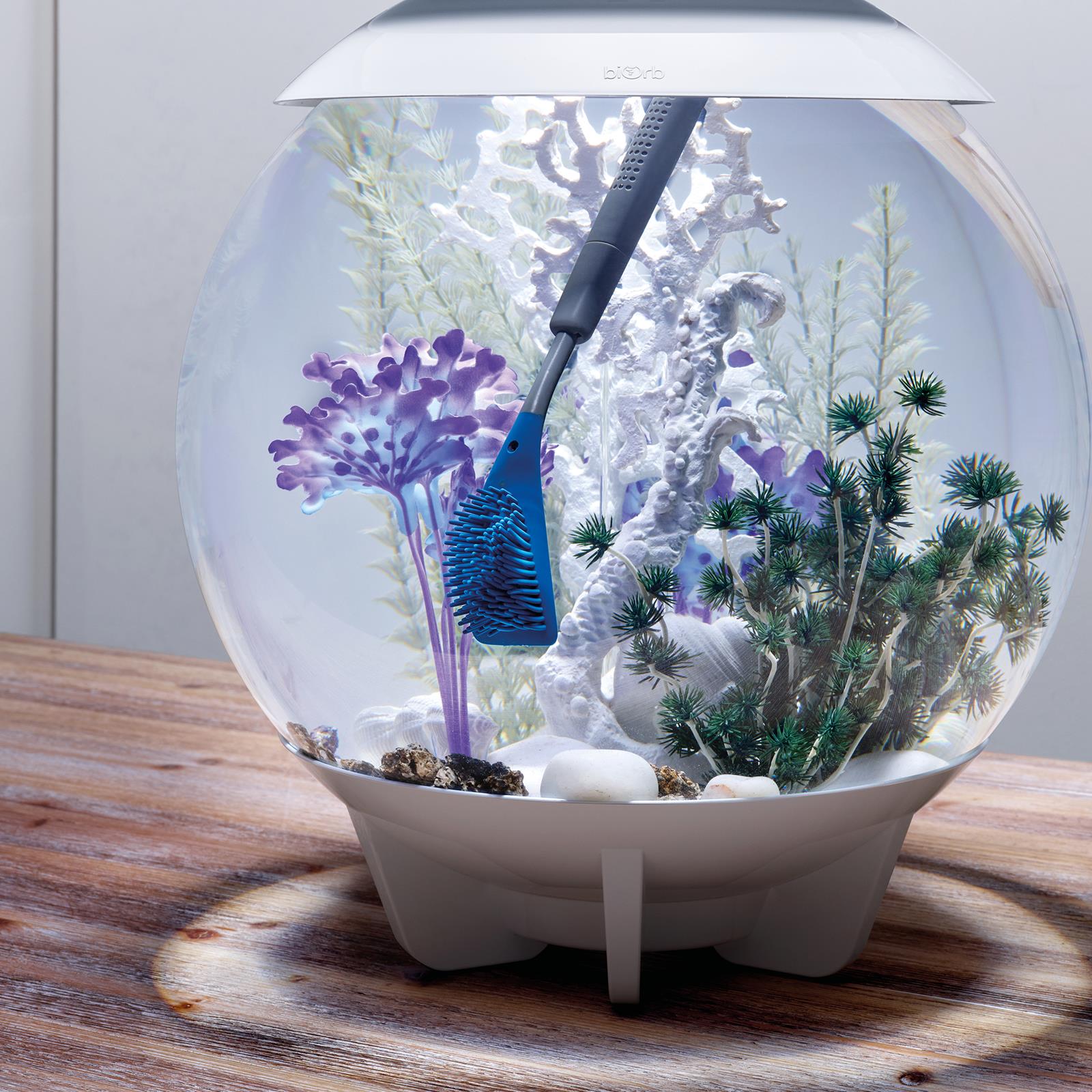 Sparkling Clean The Ultimate Guide to Maintaining a ShowroomQuality Biorb Aquarium Tank Paws