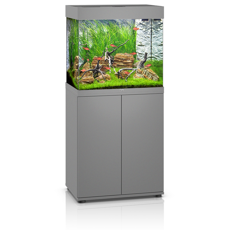 Barn Vær tilfreds semester Juwel Lido 120 Aquarium & Cabinet - LED Lighting, Filter, Pump Heater Fish  Tank | eBay