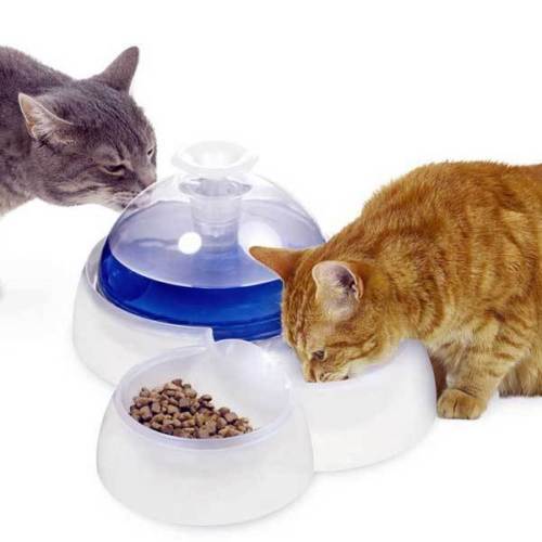 catit toys