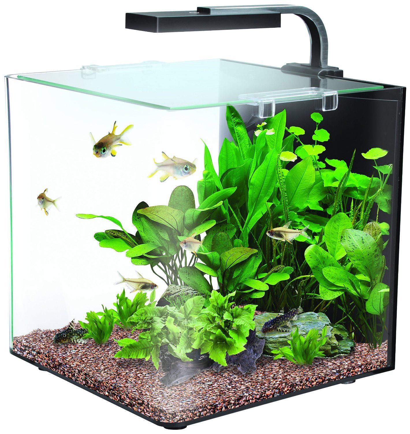 INTERPET NANO LED COMPLETE LIGHT UNIT PLANT GROWTH FISH TANK AQUARIUM ...