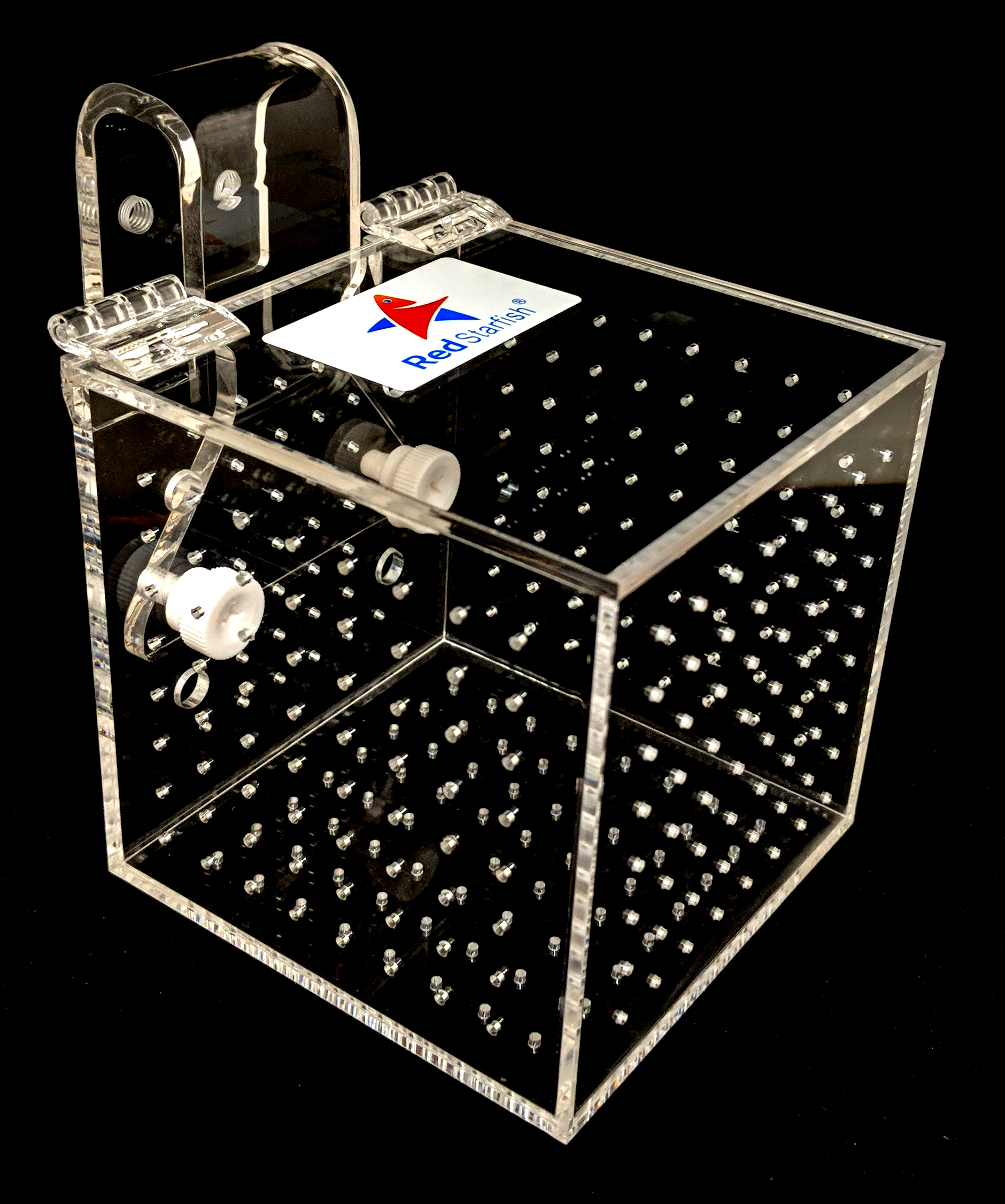 Red Starfish Acrylic Acclimation Tanks Isolation Breeding Box Aquarium