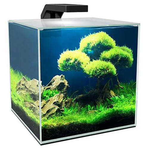 Ciano Cube Aquariums 5 10 15 with LED Light, Internal Filter, Lid Fish ...