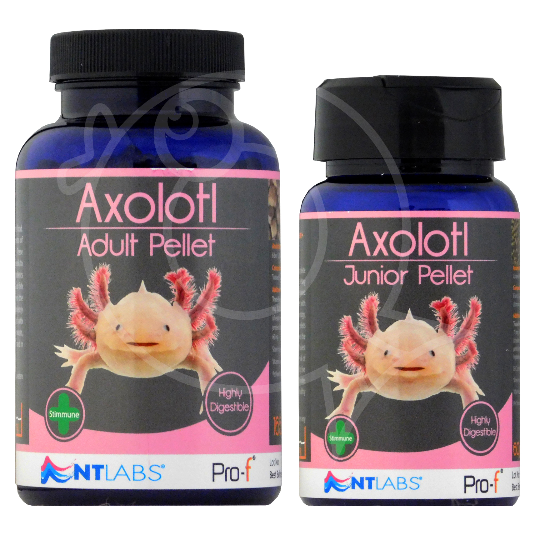 New Axolotl Food Available From NT Labs