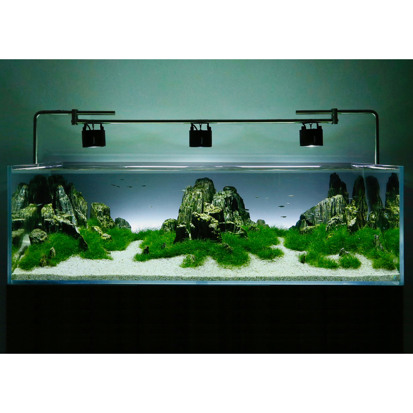 hanging aquarium lights