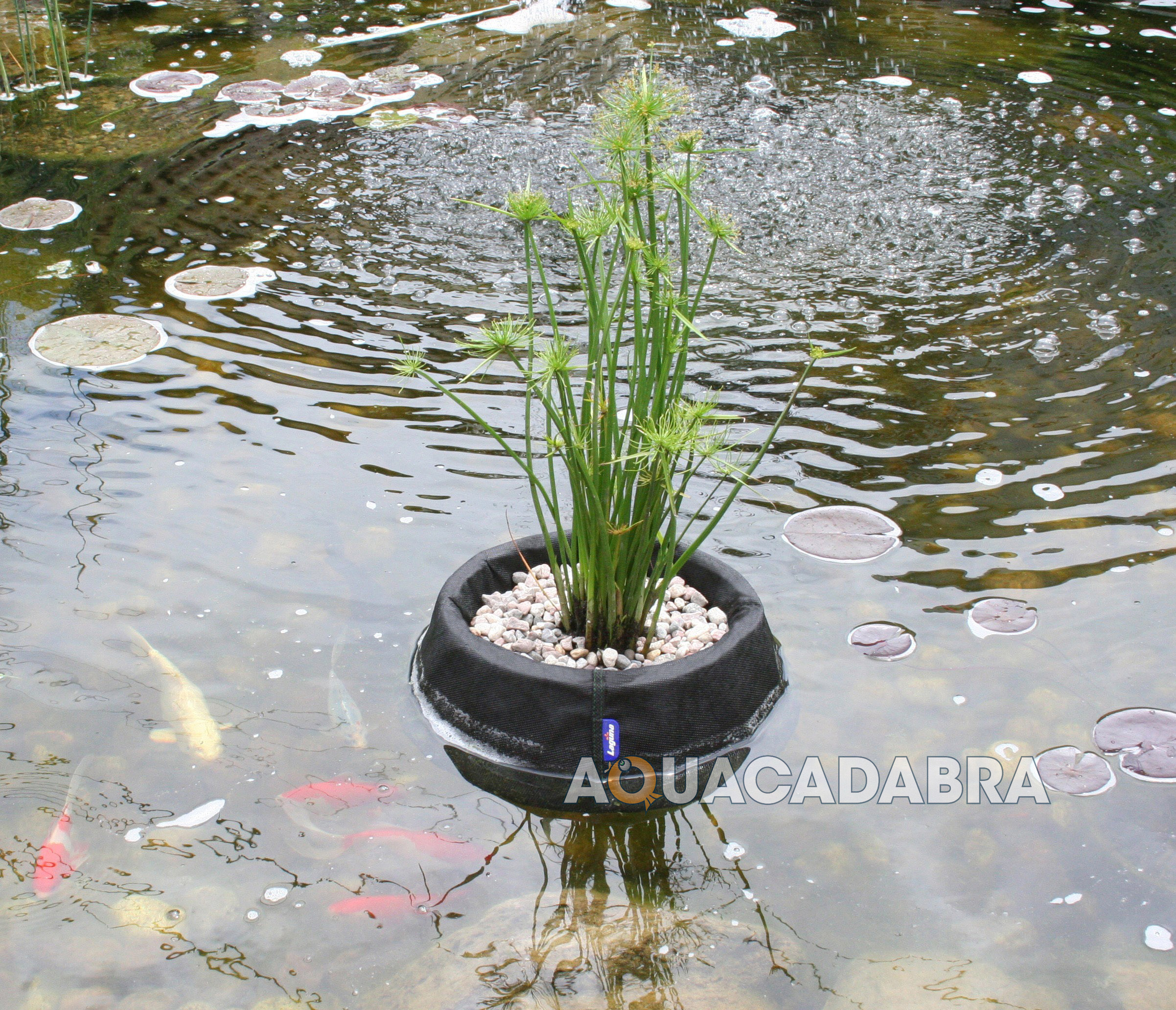 LAGUNA 10" 25CM FLOATING PLANT BASKET FOR GARDEN FISH POND MARGINALS eBay