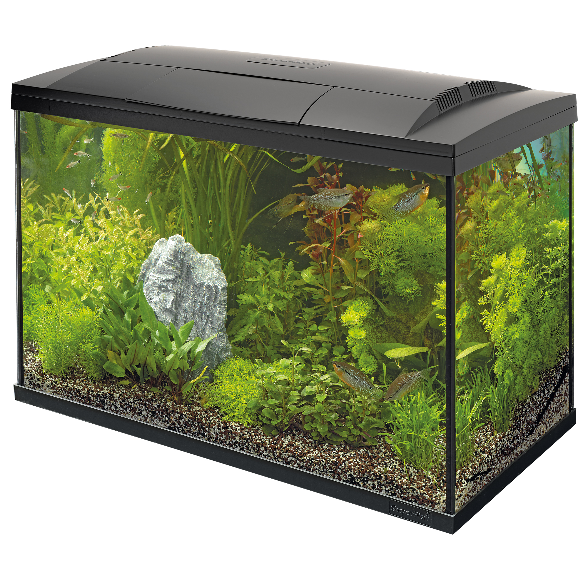 Religiøs Forbindelse fætter Superfish Start Tropical Aquarium Kit 30 50 70 100 150 Black White LED Fish  Tank | eBay