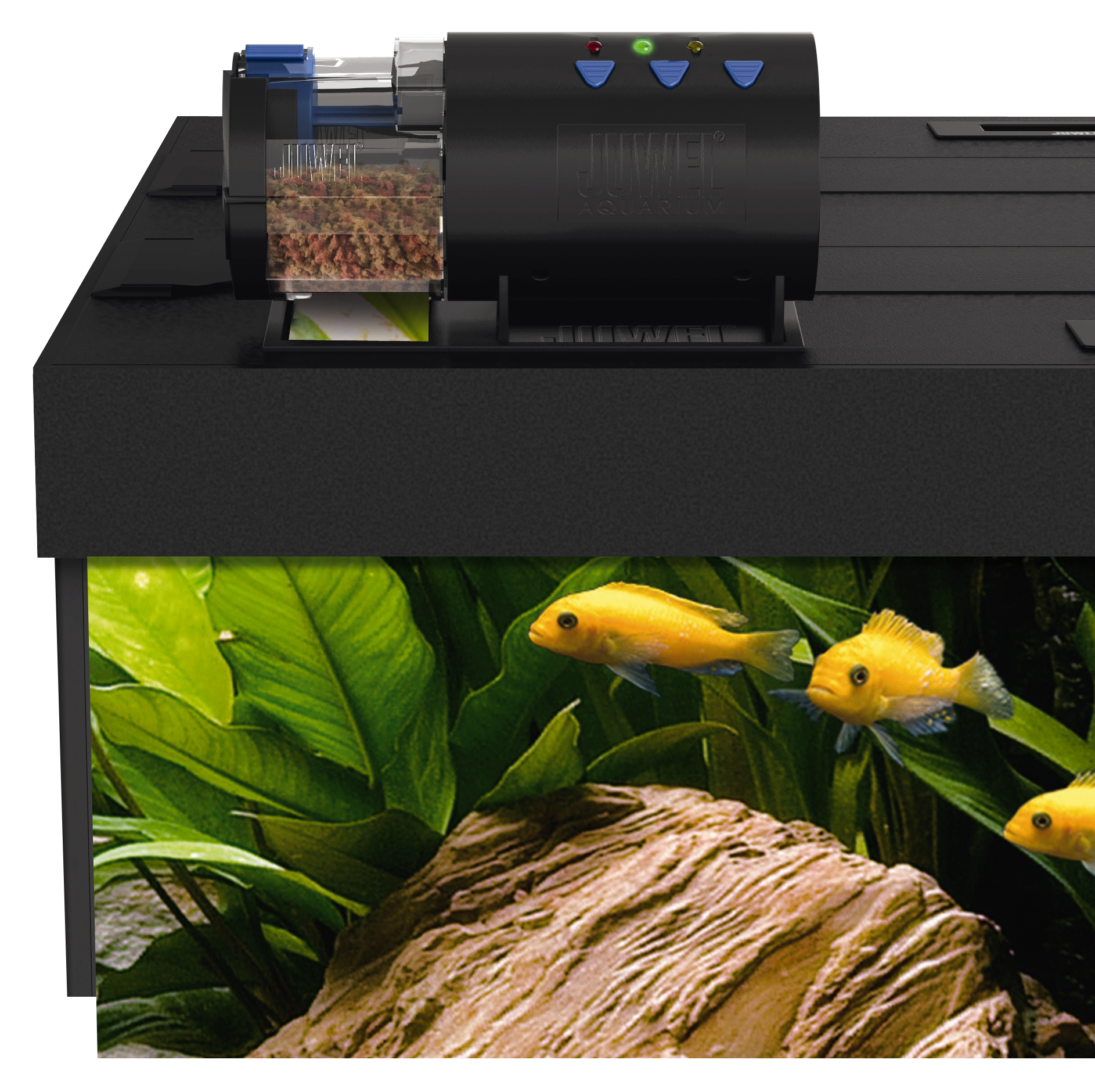 automatic feeder for fish