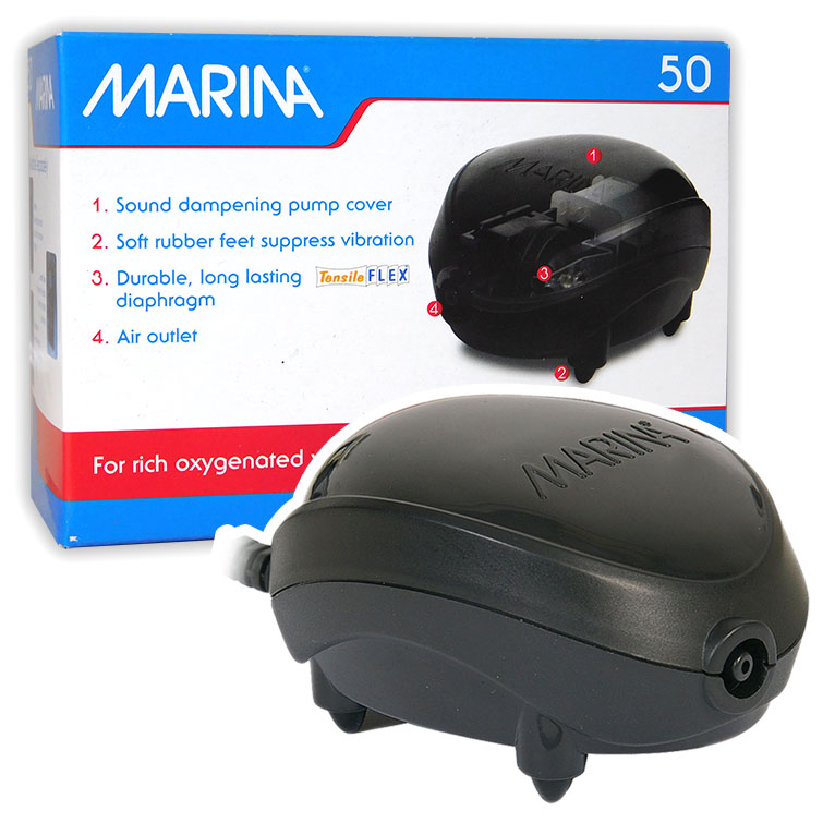 Marina air