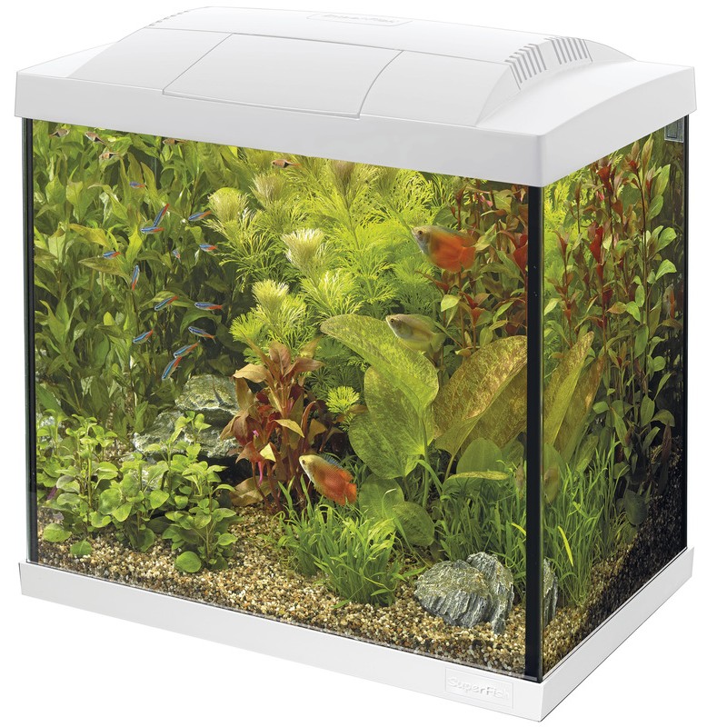 Doe mee jongen Carry Superfish Start Tropical Aquarium Kit 30 50 70 100 150 Black White LED Fish  Tank | eBay