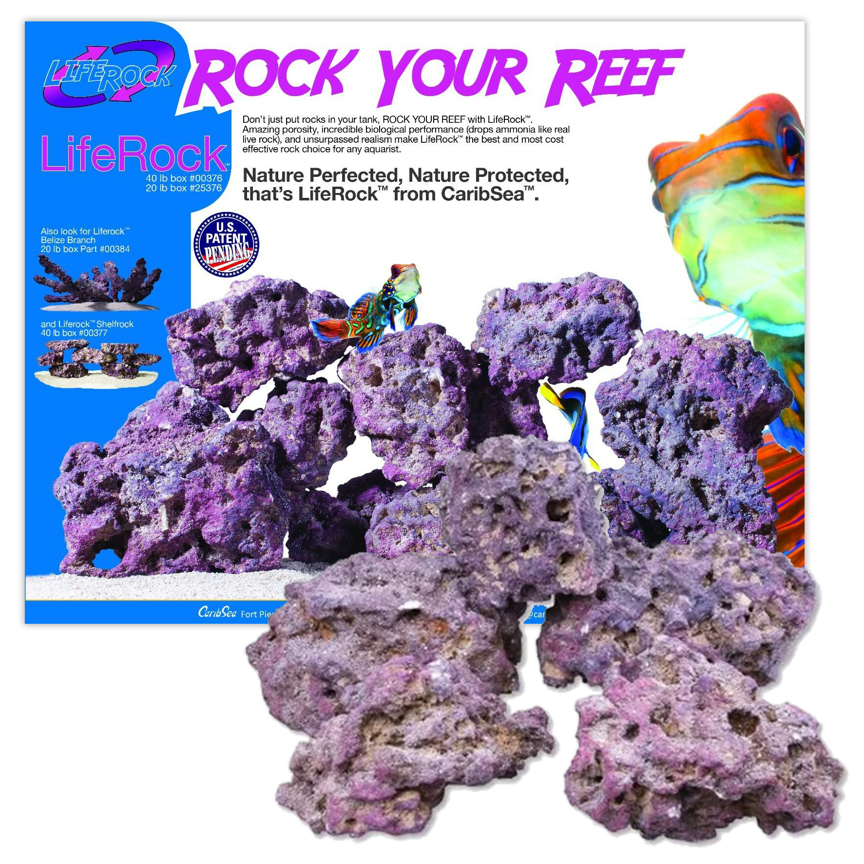 Caribsea Life Rock Box Real Reef Aquarium Marine Purple Live Rock Fish ...
