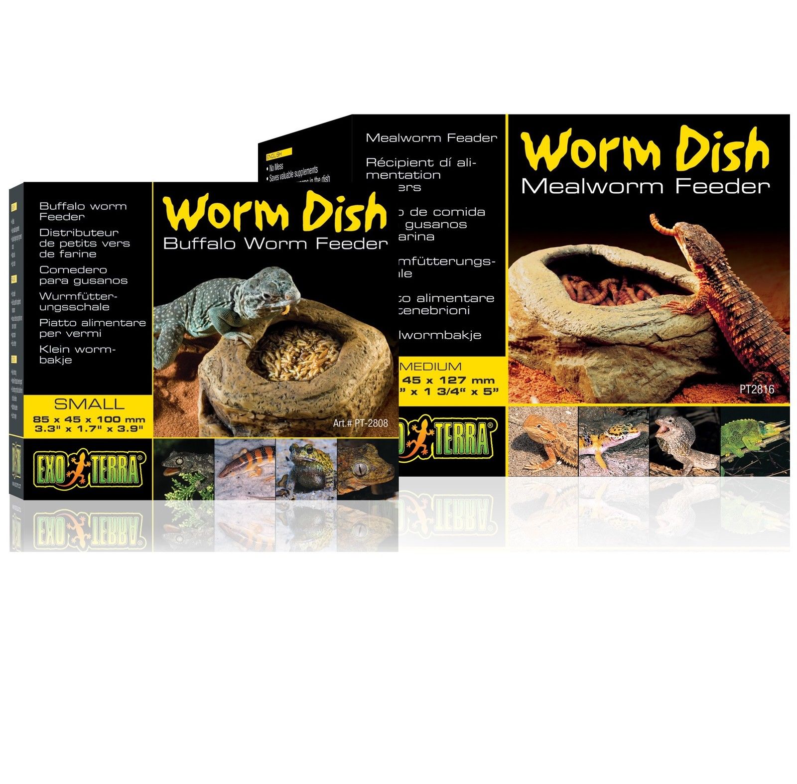 Exo Terra Worm Dish Mealworm Buffalo Worm Feeder Bowl Reptile