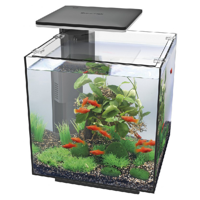 Acheter filtre interne amtra/wave filpo mini (nano aquarium <30l) 200 l/h  sur la boutique FishFish - Achat en ligne et livraison rapide