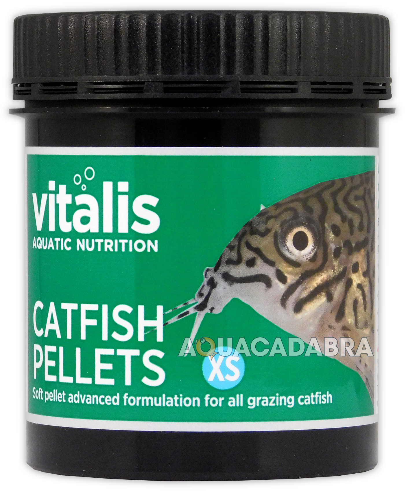 feeder catfish