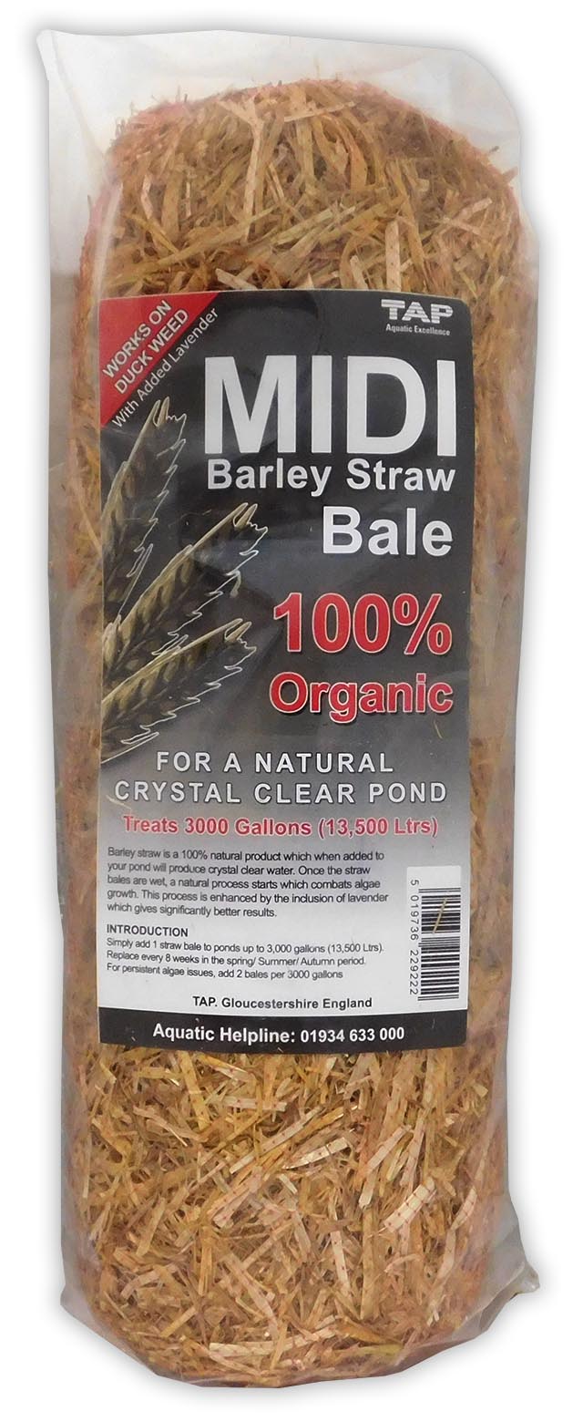 TAP POND BARLEY STRAW BALE ALGAE CONTROL BLANKET WEED TREATMENT GREEN WATER 