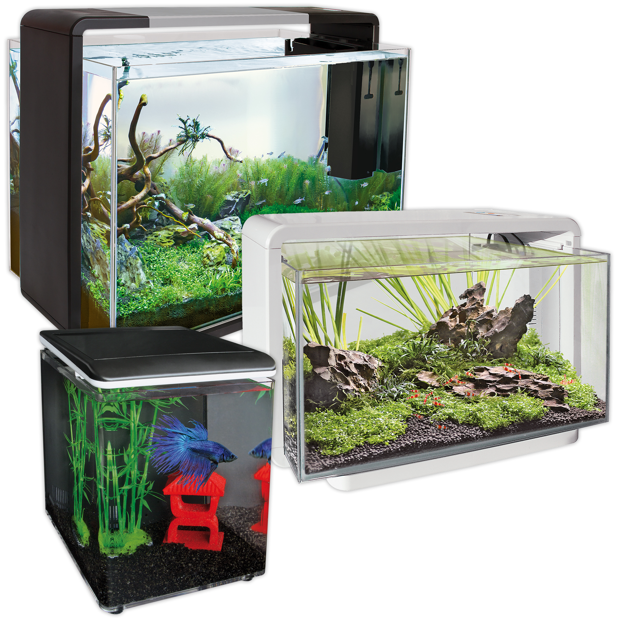 Superfish Home Aquarium with Filter Pump & LED Lighting Easy Setup Fish