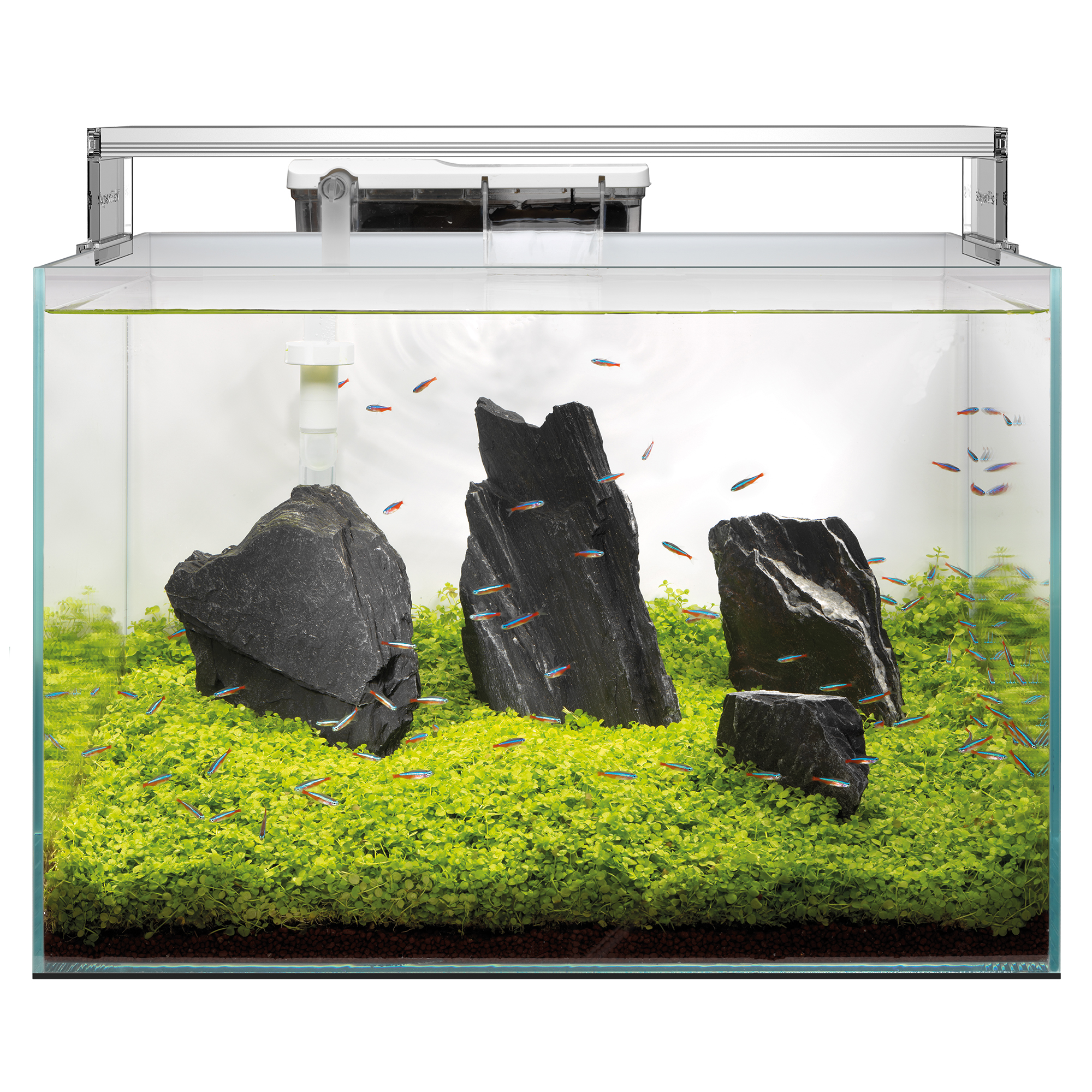 Superfish Scaper Aquariums Freshwater Fish Tank for Aquascaping Planting - Picture 8 of 8