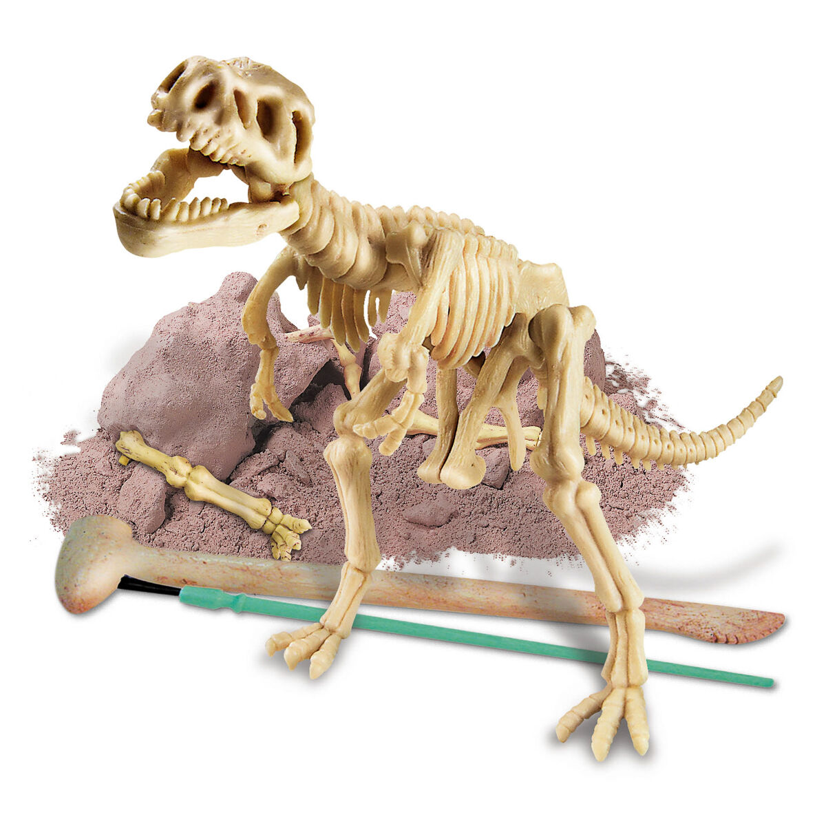 Kids Labs Dig a TRex Skeleton - Excavate the bones of a dinosaur | eBay