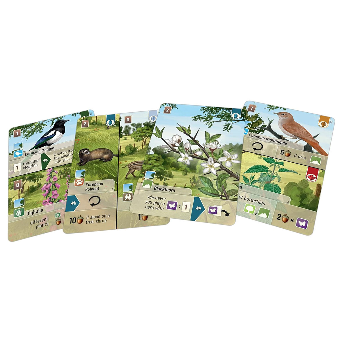 Lookout Forest Shuffle: Woodland Edge Card Game Expansion 2-5 PlayersAges 10+ - Image 2