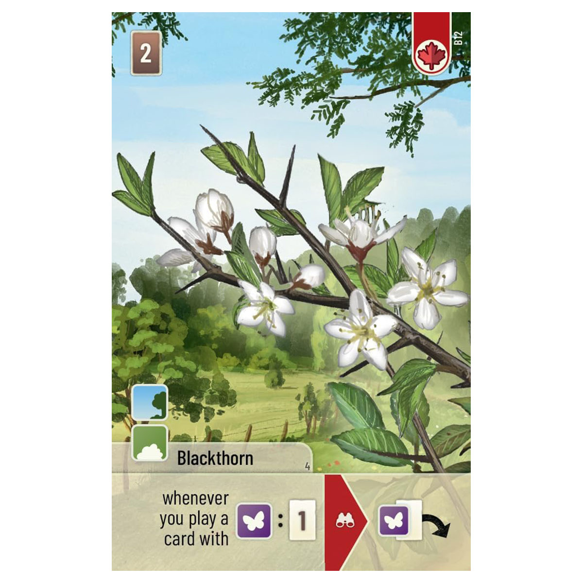 Lookout Forest Shuffle: Woodland Edge Card Game Expansion 2-5 PlayersAges 10+ - Image 4