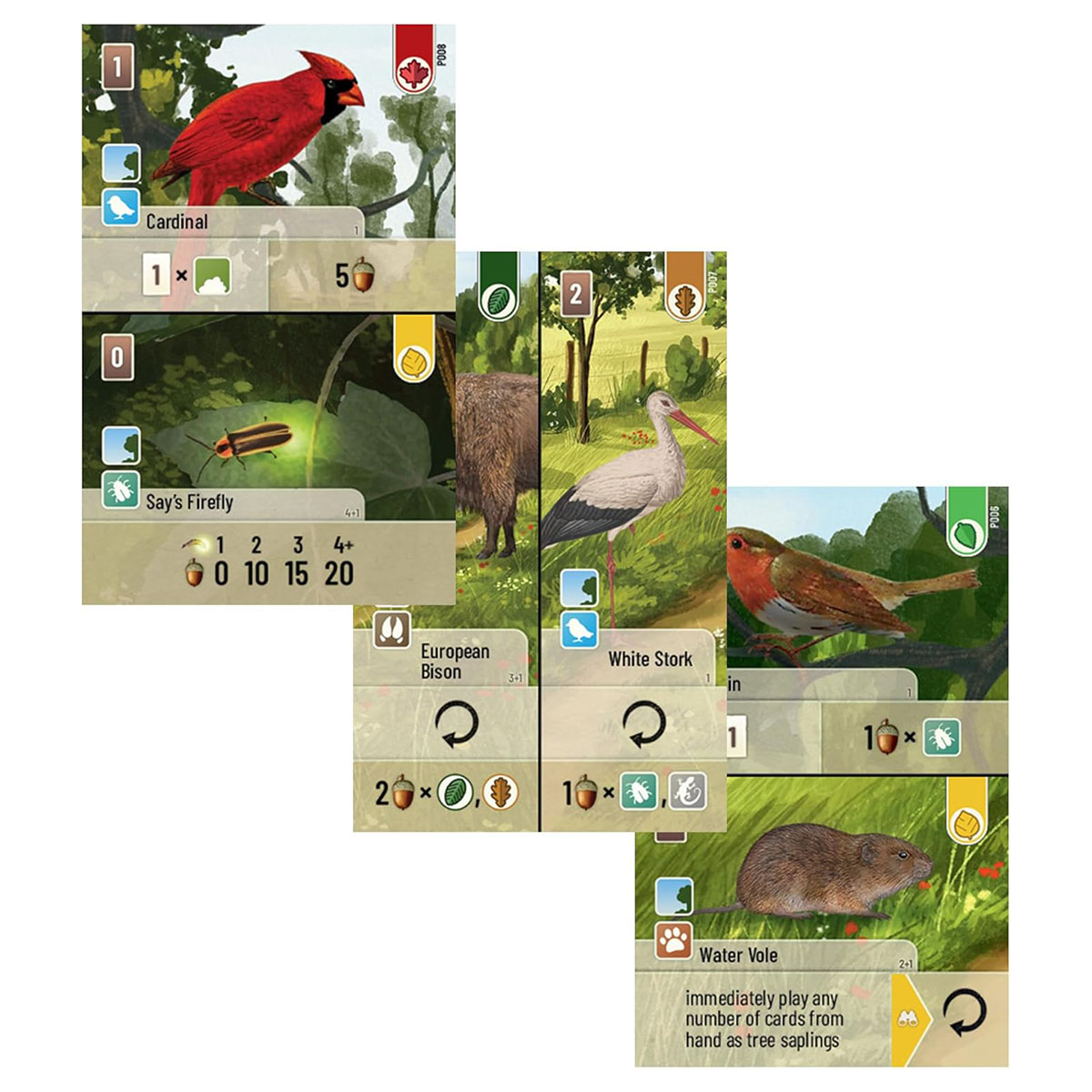 Forest Shuffle: Exploration Board Game Expansion 1-5 Players Ages 10+ - Image 3