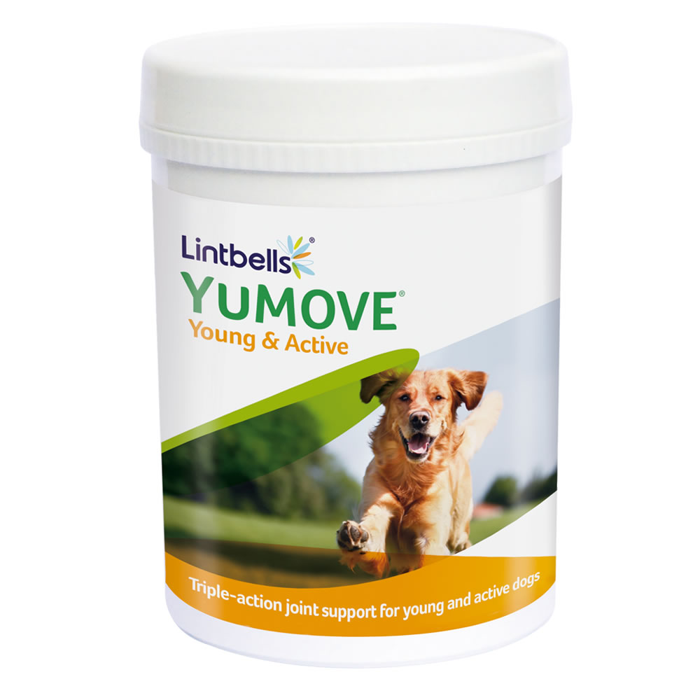 Таблетки YUMOVE. Active Dog. Green Dog and fuilite коза. Dog Action.