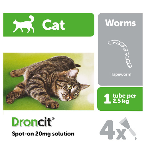Droncit Spot On Wormer for Cats 4 Pipettes 4 Month Tapeworm Worming