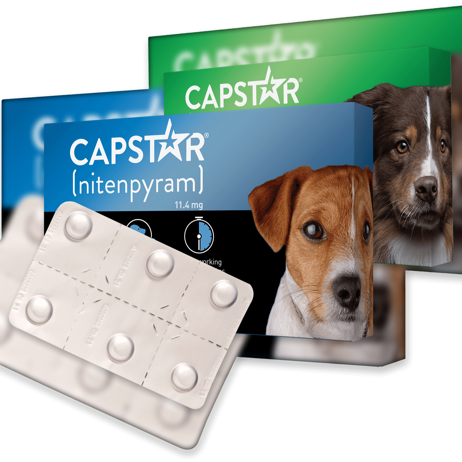 Large Dogs Nitenpyram Tablets CAPSTAR (nitenpyram) Fast-Acting