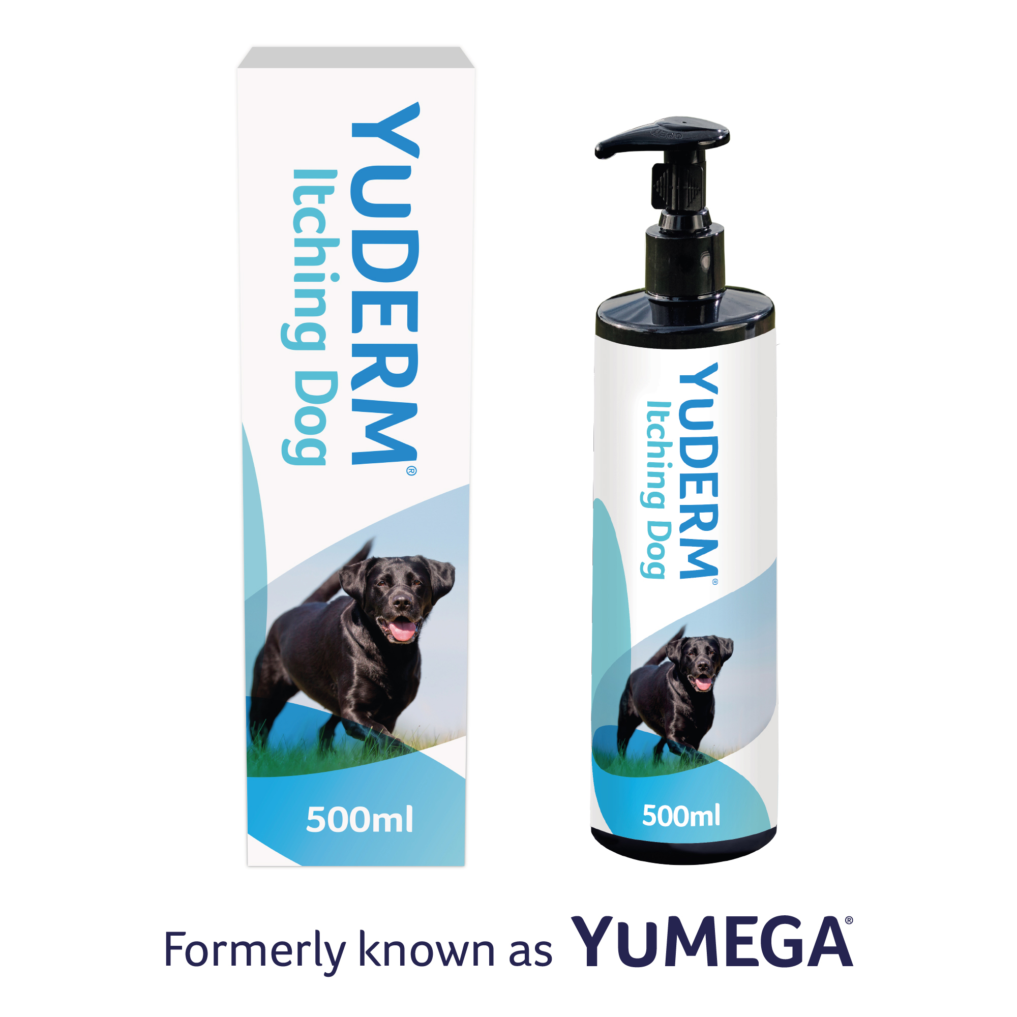 supplements for itchy dogs
