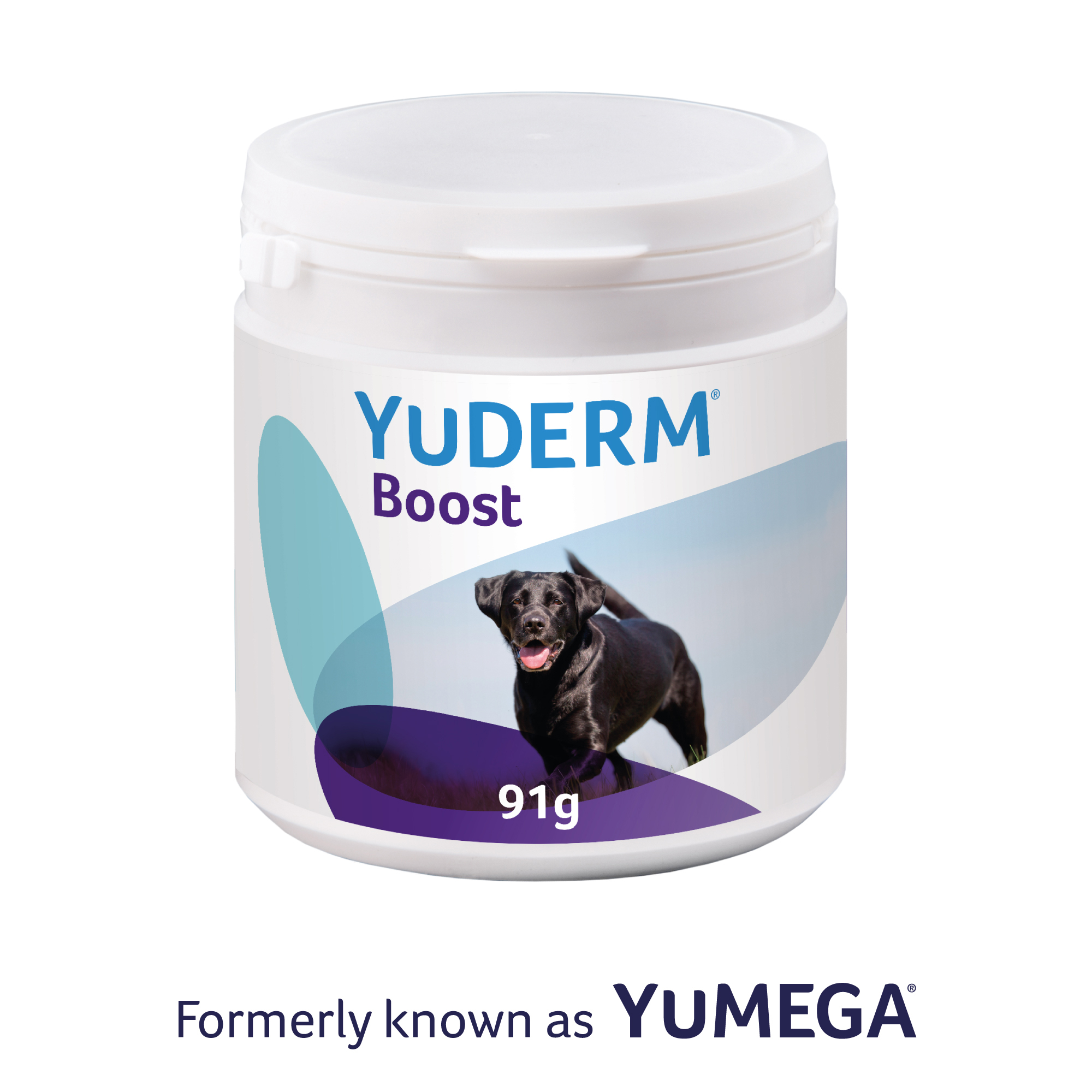 yumega show dog