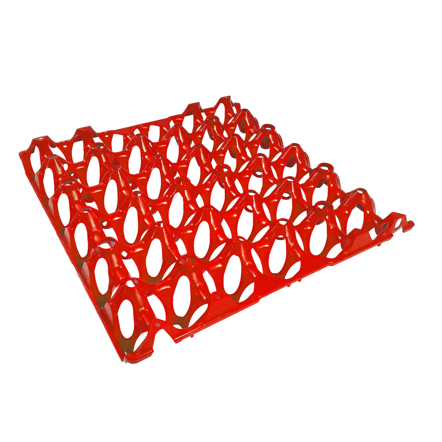 Plastic Egg Tray Eton Various Colours Holds 30 Eggs Robust And Flexible - Picture 3 of 6