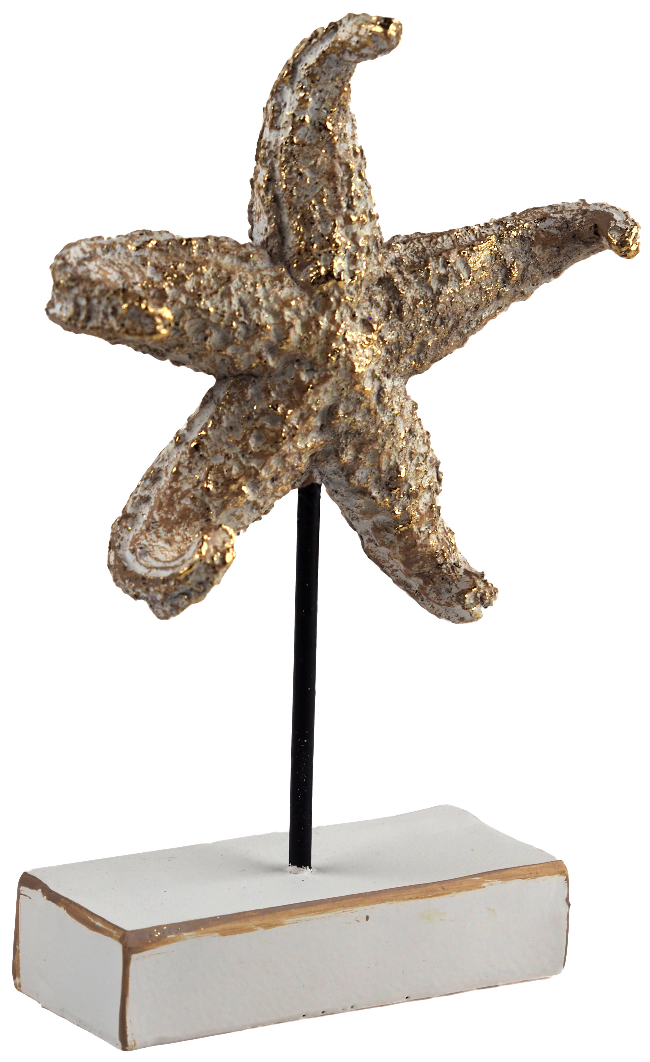 Large White Gold Starfish 22cm Sculpture Ornament - Nautical Home Decor