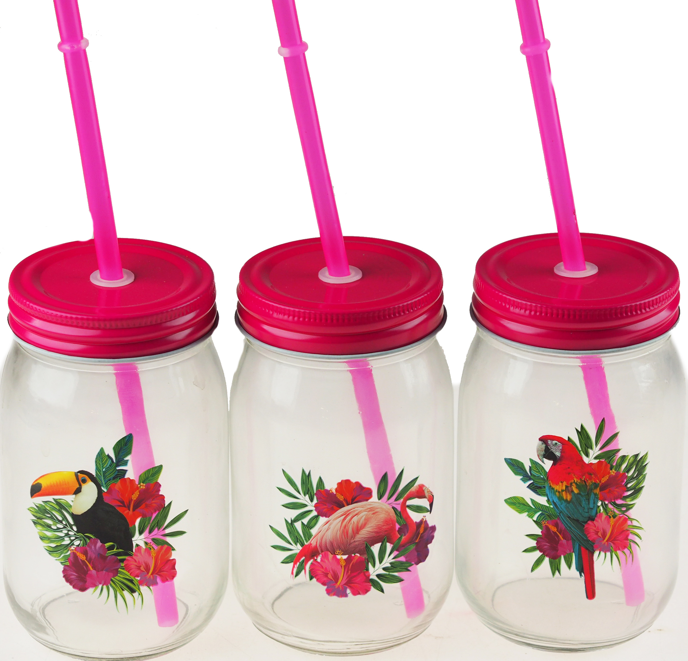 3 Hot Pink Tropical Bird Drinking Mason Glass Jars With Lid And Reusable Straw