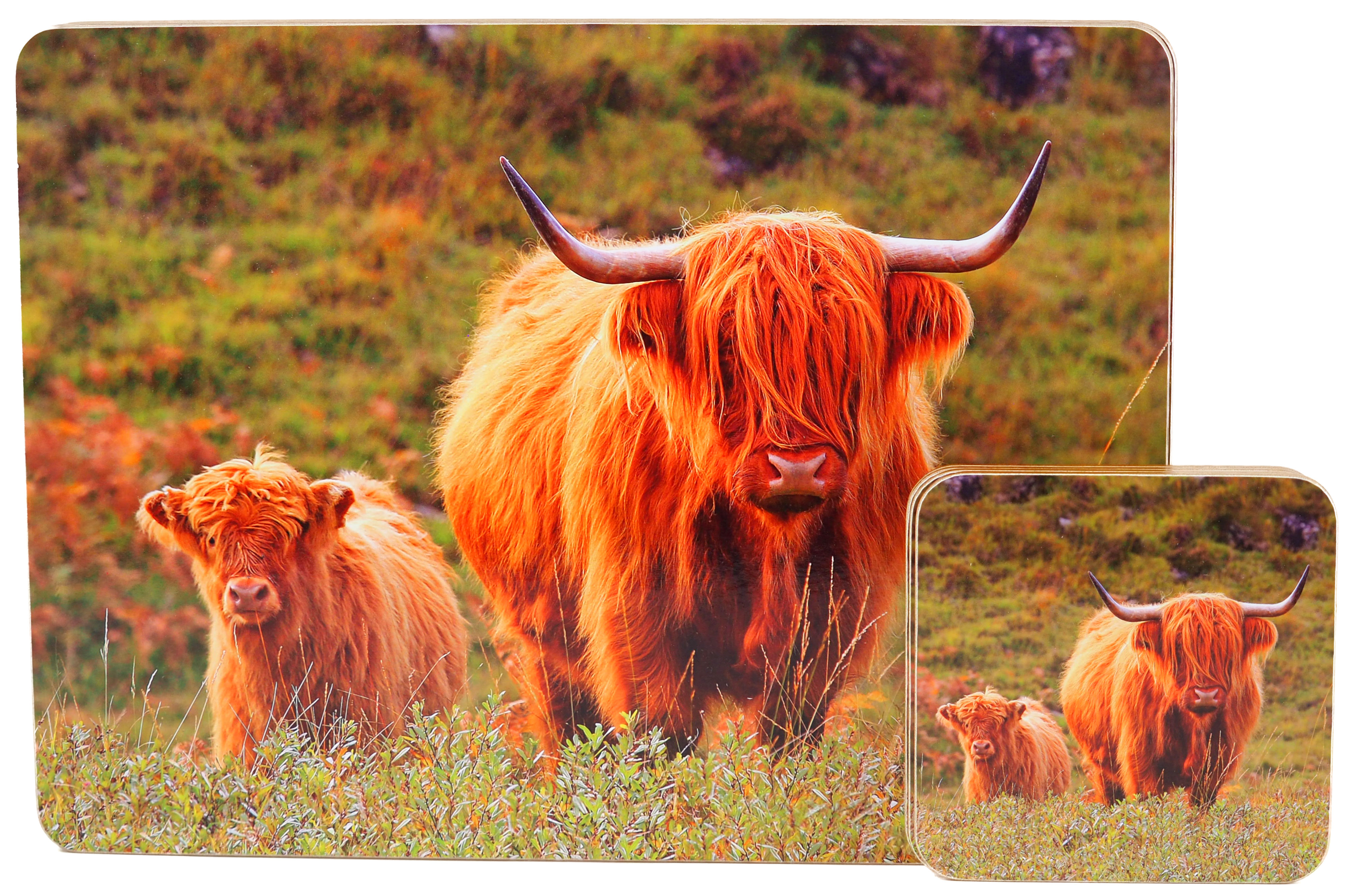 Highland Cow On Moors Scene Dinner Place Mats And 4 Coasters (Set of 4)
